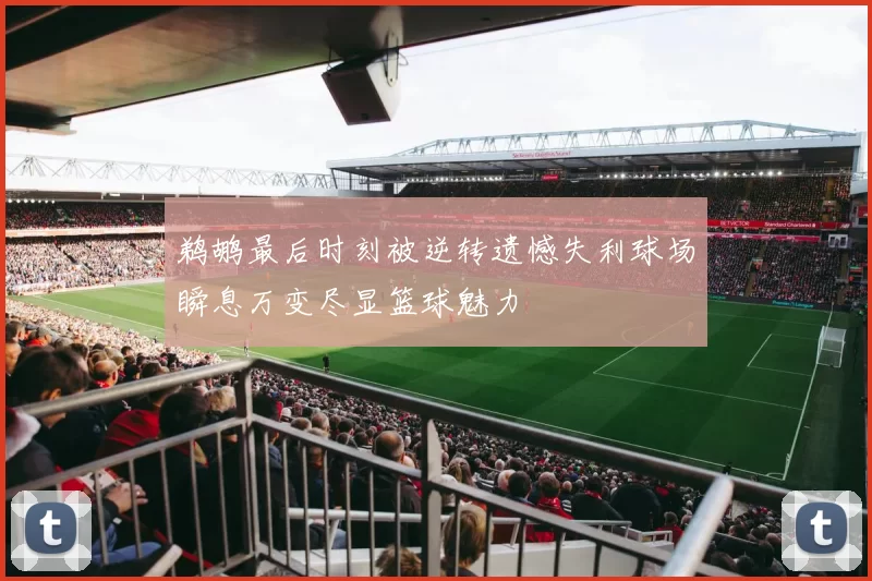 鹈鹕最后时刻被逆转遗憾失利球场瞬息万变尽显篮球魅力